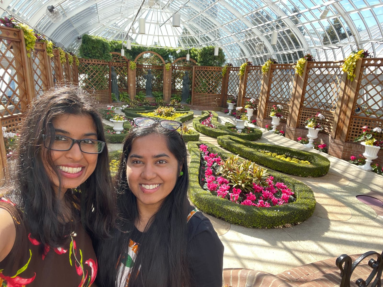Phipps