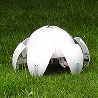 ballball thumbnail